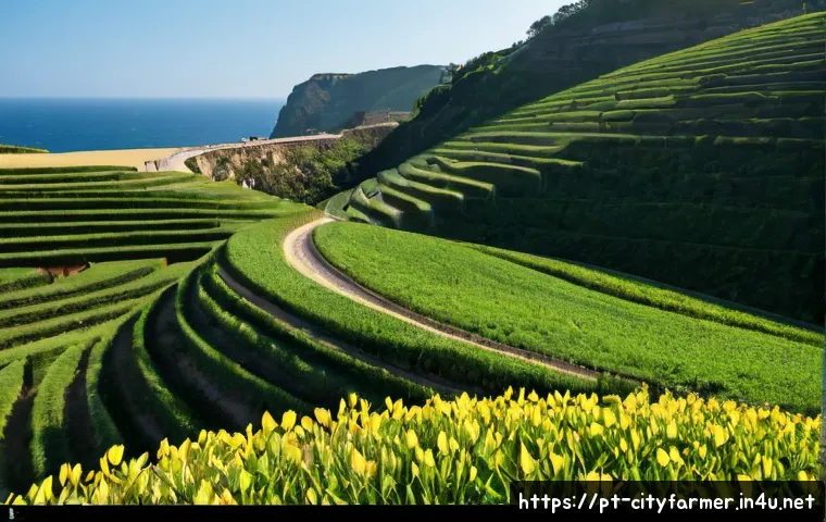 Sistema de estufa inteligente para agricultura urbana: como comparar automação, custos e retorno 4 도시농업에서 사용하는 스마트 온실 시스템 관련 이미지 2